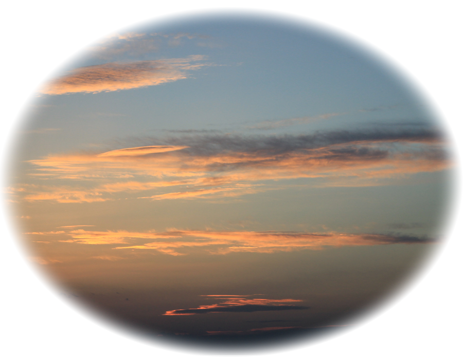 Arcus Ecological Association